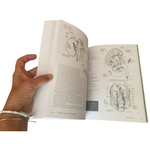 New McMurtries Human Anatomy Coloring Book 3rd Edition With 1000+ Illustrations - Picture 12 of 13